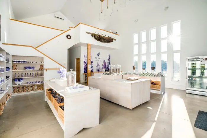 Bright retail interior